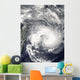 Tropical Cyclone Gael Wall Decal