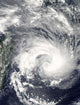 Tropical Cyclone Gael Wall Decal