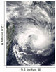 Tropical Cyclone Gael Wall Decal