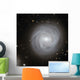 Spiral Galaxy Ngc 4921 Wall Decal