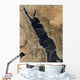 Dust Plumes over Red Wall Decal