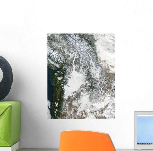 Fog and Snow Pacific Wall Decal