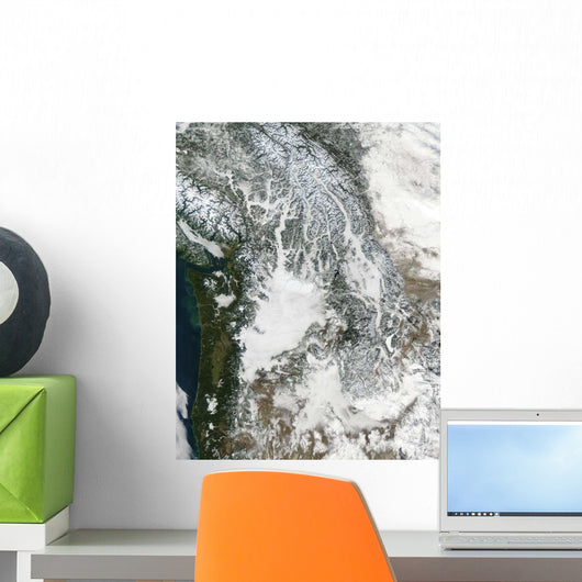 Fog and Snow Pacific Wall Decal