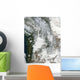 Fog and Snow Pacific Wall Decal