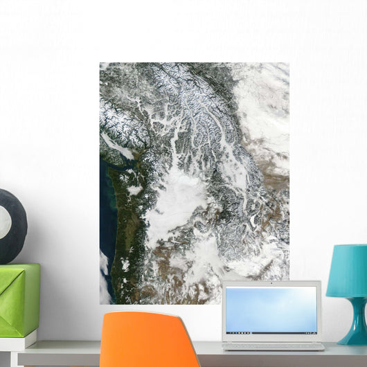 Fog and Snow Pacific Wall Decal
