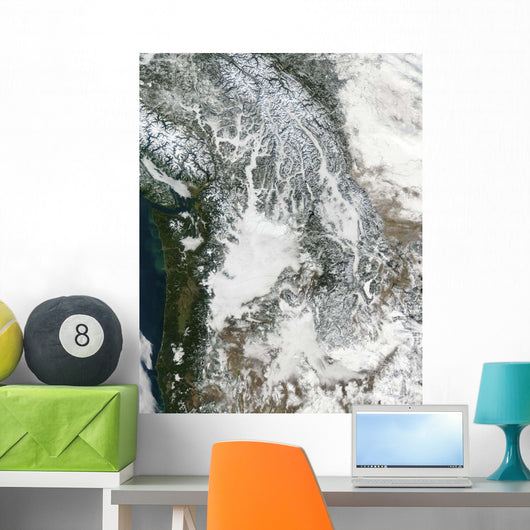Fog and Snow Pacific Wall Decal