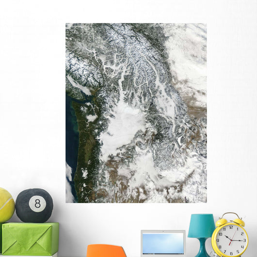 Fog and Snow Pacific Wall Decal