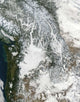 Fog and Snow Pacific Wall Decal