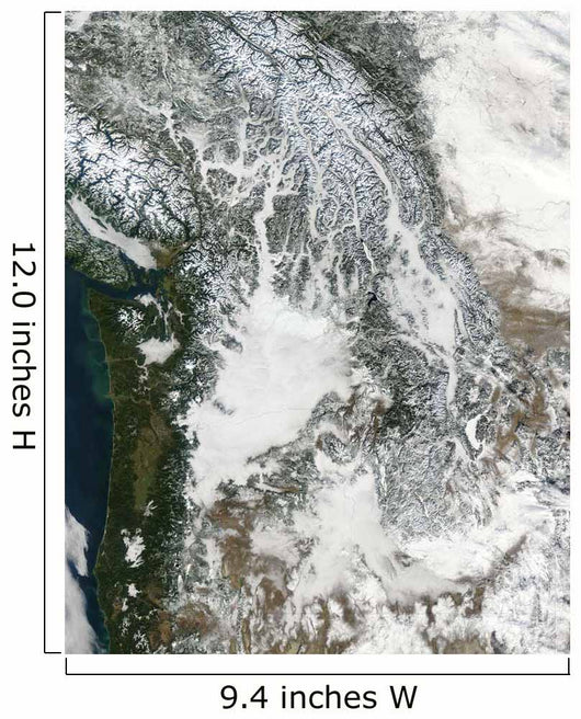 Fog and Snow Pacific Wall Decal