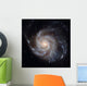 Messier 101 Pinwheel Galaxy Wall Decal