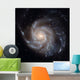 Messier 101 Pinwheel Galaxy Wall Decal