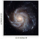 Messier 101 Pinwheel Galaxy Wall Decal