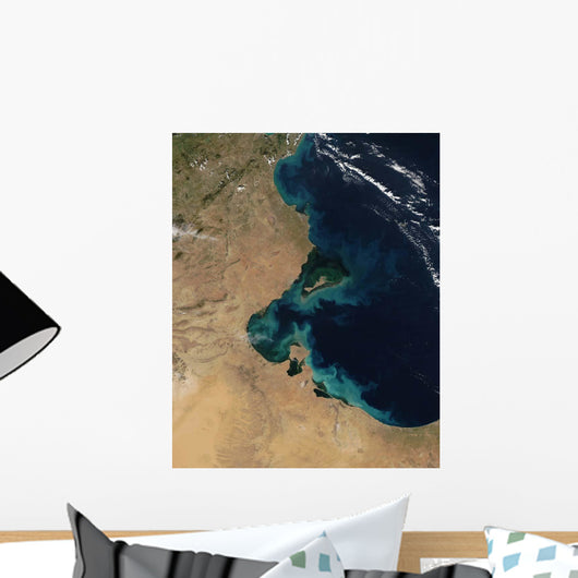 Resuspended Sediment off Coast Wall Decal