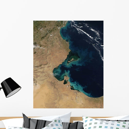 Resuspended Sediment off Coast Wall Decal