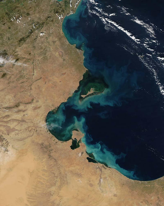 Resuspended Sediment off Coast Wall Decal