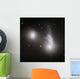 Cluster Interacting Galaxies Wall Decal