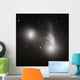 Cluster Interacting Galaxies Wall Decal