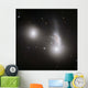 Cluster Interacting Galaxies Wall Decal