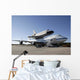Space Shuttle Endeavour Mounted Wall Decal Design 1