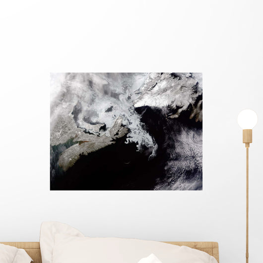 Sea Ice Fills Gulf Wall Decal