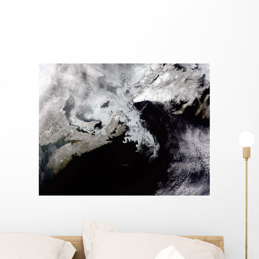 Sea Ice Fills Gulf Wall Decal
