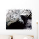 Sea Ice Fills Gulf Wall Decal
