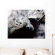 Sea Ice Fills Gulf Wall Decal