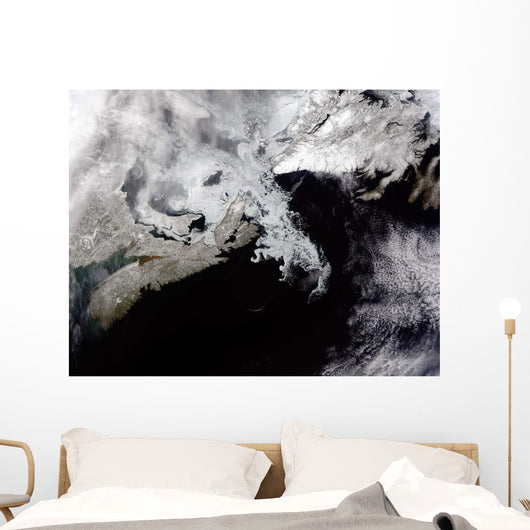 Sea Ice Fills Gulf Wall Decal