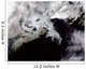 Sea Ice Fills Gulf Wall Decal