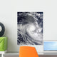 Tropical Cyclone Ilsa Wall Decal