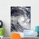 Tropical Cyclone Ilsa Wall Decal