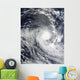 Tropical Cyclone Ilsa Wall Decal