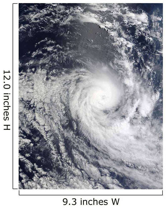 Tropical Cyclone Ilsa Wall Decal