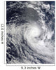 Tropical Cyclone Ilsa Wall Decal