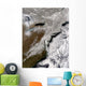 Snow across Northeastern United Wall Decal