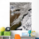 Snow across Northeastern United Wall Decal