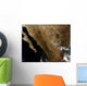 Northern Mexico Wall Decal