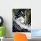 Tropical Cyclone Izilda Wall Decal