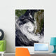 Tropical Cyclone Izilda Wall Decal