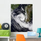 Tropical Cyclone Izilda Wall Decal