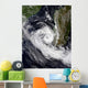 Tropical Cyclone Izilda Wall Decal