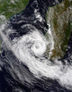 Tropical Cyclone Izilda Wall Decal