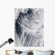 Ship Tracks Northern Pacific Wall Decal