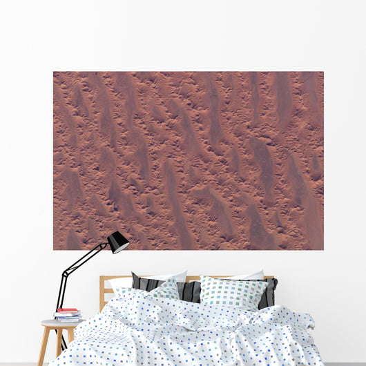 Algerian Desert Wall Decal