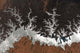 Egypt's Lake Nasser Wall Decal