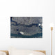 Manhattan Island and Its Wall Decal