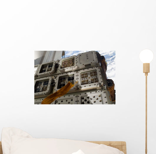 Close-up Image Expose-r Experiment Wall Decal
