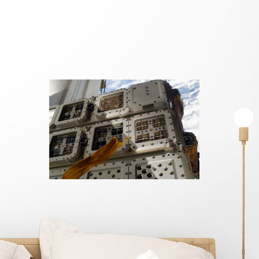 Close-up Image Expose-r Experiment Wall Decal