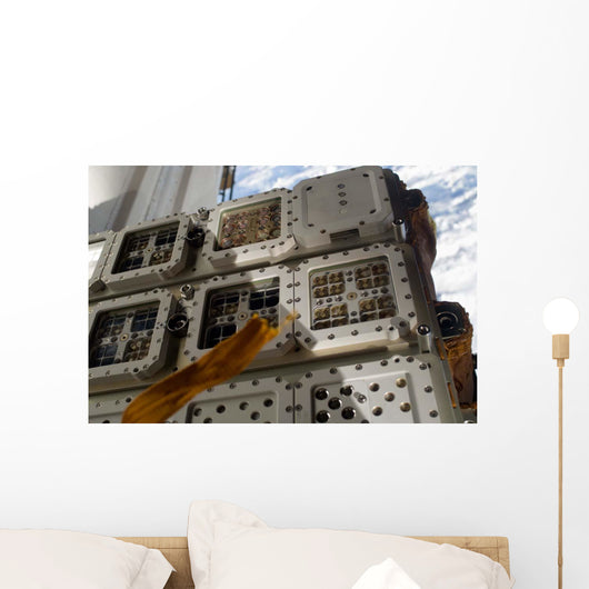 Close-up Image Expose-r Experiment Wall Decal