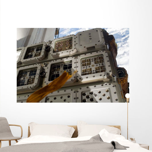 Close-up Image Expose-r Experiment Wall Decal